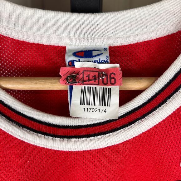 Signed Dennis Rodman 90s Champion Chicago Bulls Youth L 14-16 Jersey - Picture 4 of 7